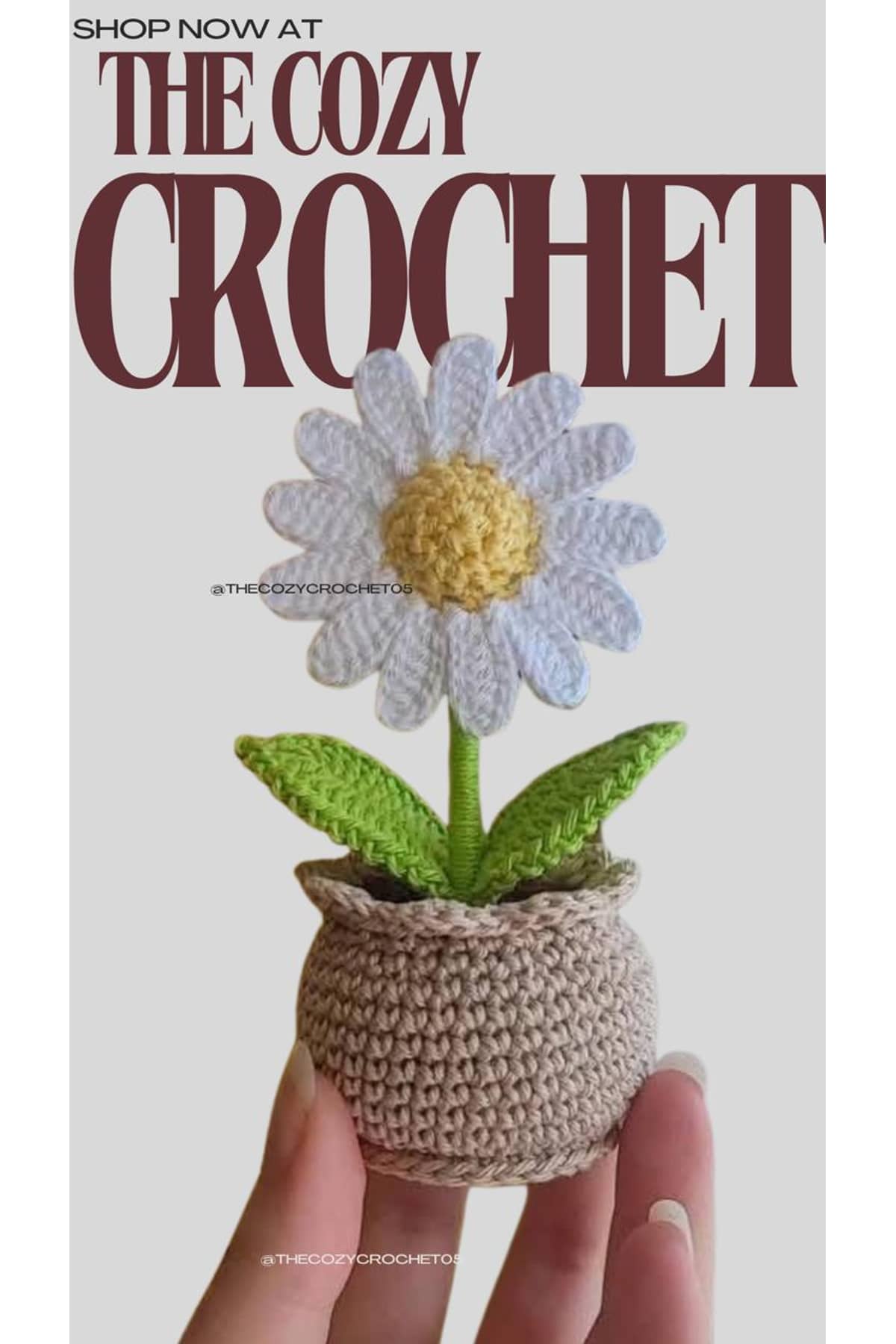 Daisy Pot