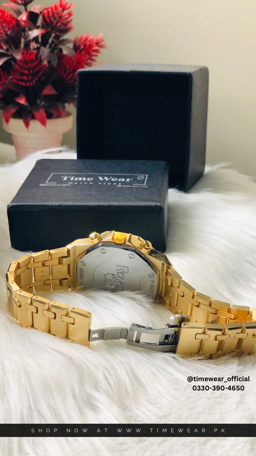 Audemars Piguet (GW)