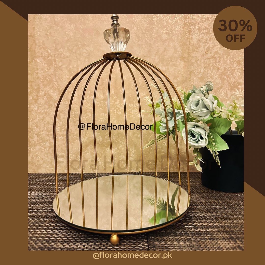 Cage With Mirror