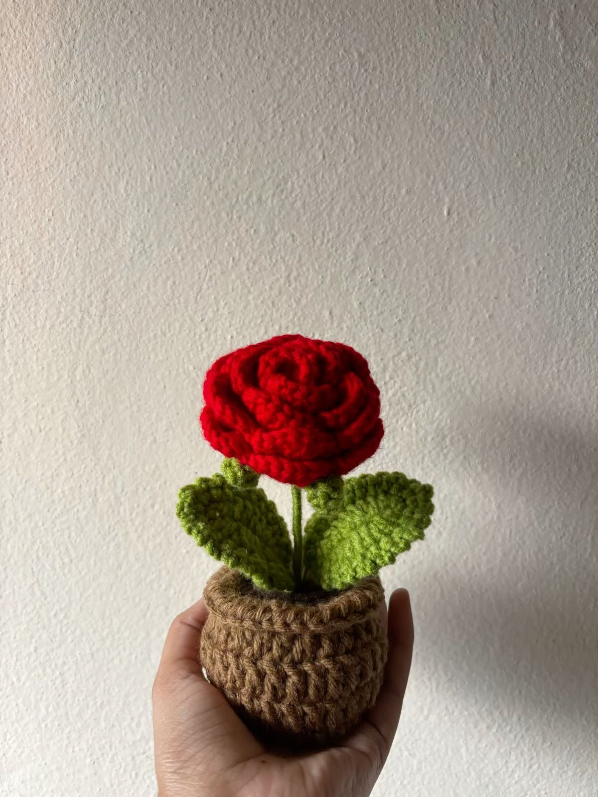 Crochet Pot