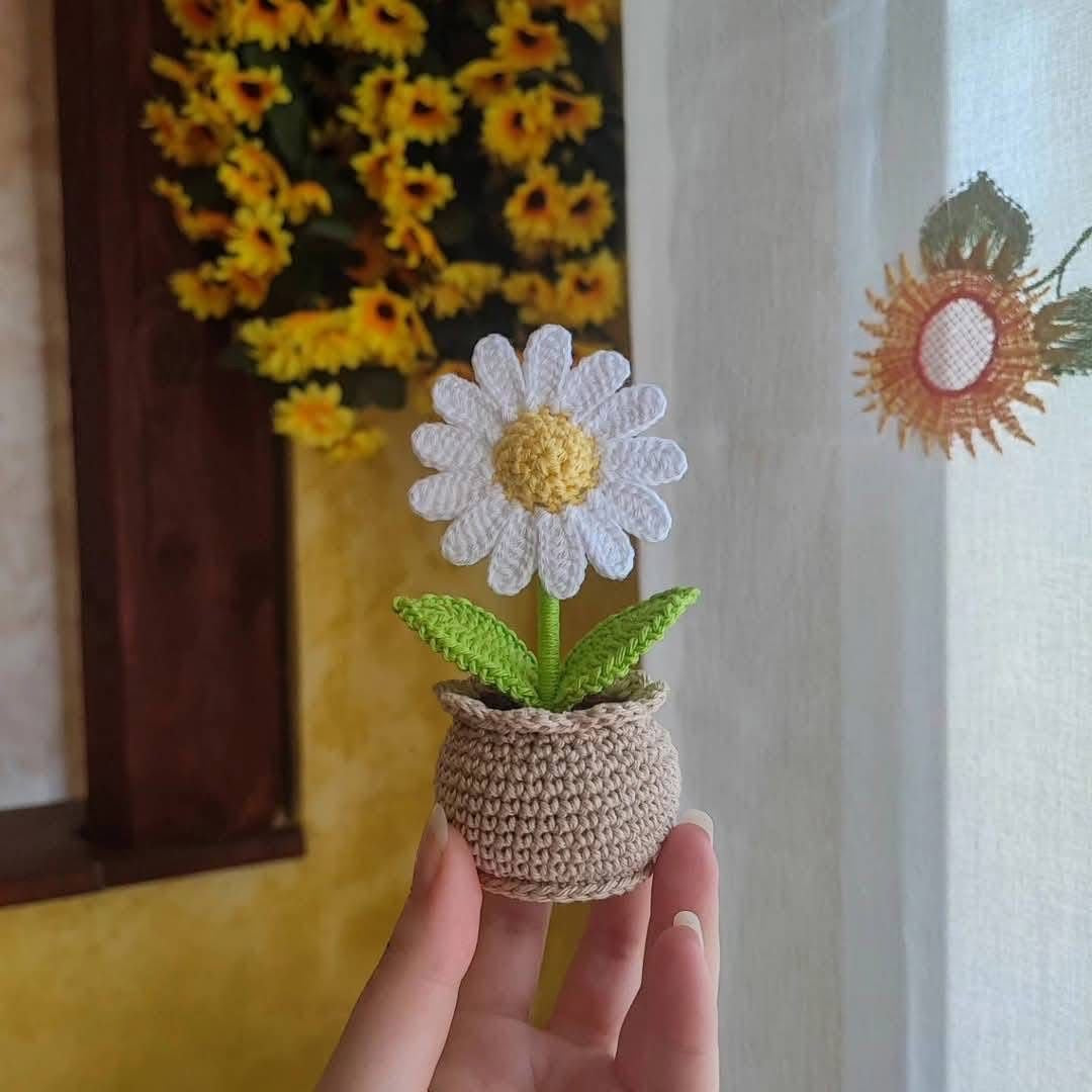 Crochet Pot